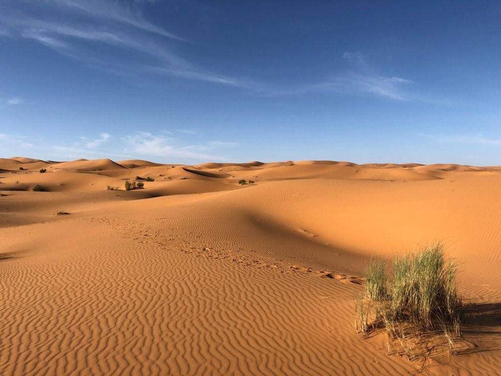Sahara Desert, Africa
